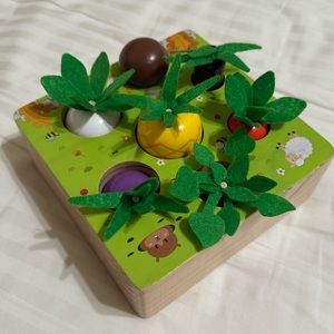 Wooden Montessori toy